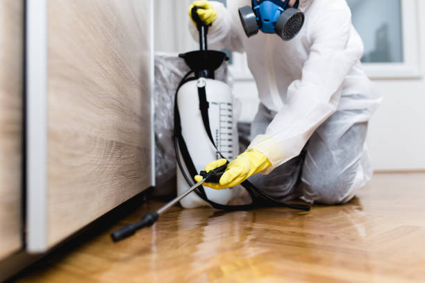 Best Pest Control Near Me in Ceres, CA
