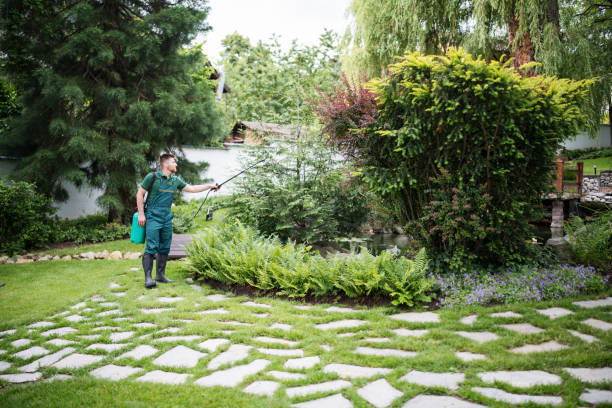 Best Residential Pest Control  in Ceres, CA