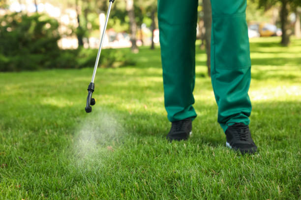 Best Mosquito Control Services  in Ceres, CA