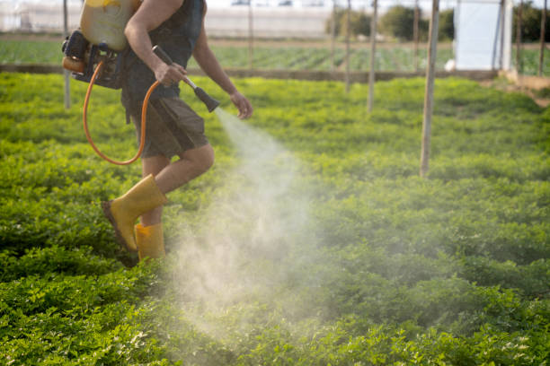Best Pest Inspection Near Me  in Ceres, CA