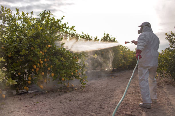 Best Bed Bug Extermination  in Ceres, CA