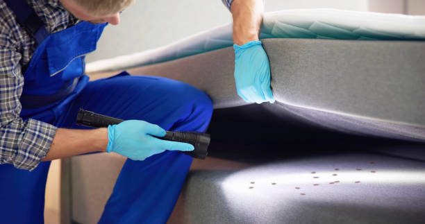 Best Insect Control  in Ceres, CA