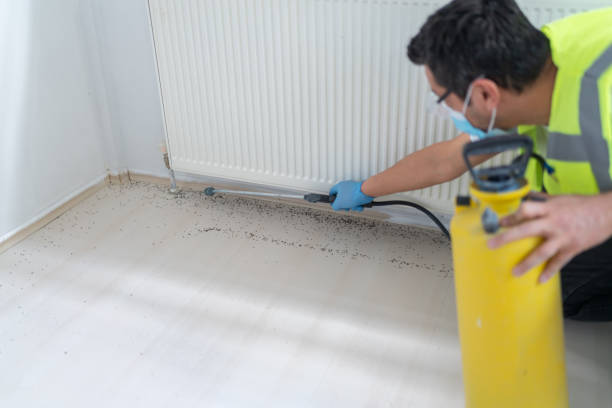 Professional Pest Control in Ceres, CA